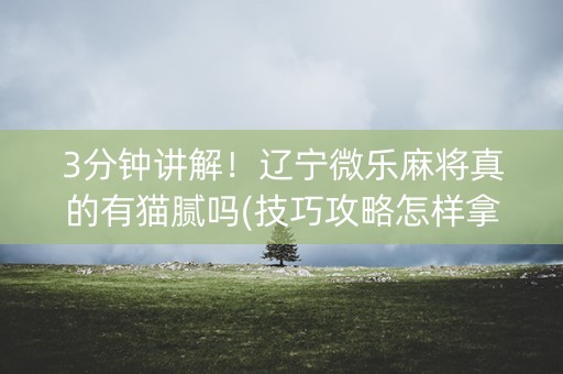 3分钟讲解！辽宁微乐麻将真的有猫腻吗(技巧攻略怎样拿好牌)
