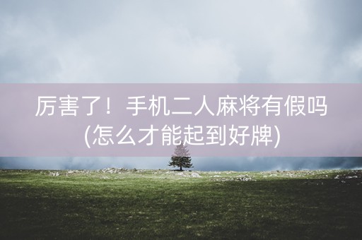 厉害了！手机二人麻将有假吗(怎么才能起到好牌)