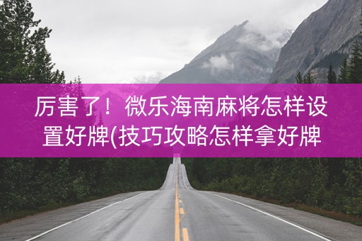 厉害了！微乐海南麻将怎样设置好牌(技巧攻略怎样拿好牌)