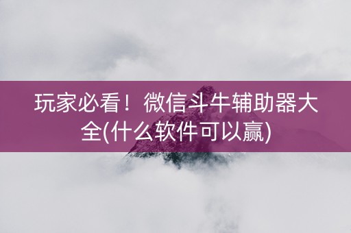 玩家必看！微信斗牛辅助器大全(什么软件可以赢)