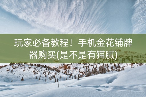 玩家必备教程！手机金花铺牌器购买(是不是有猫腻)