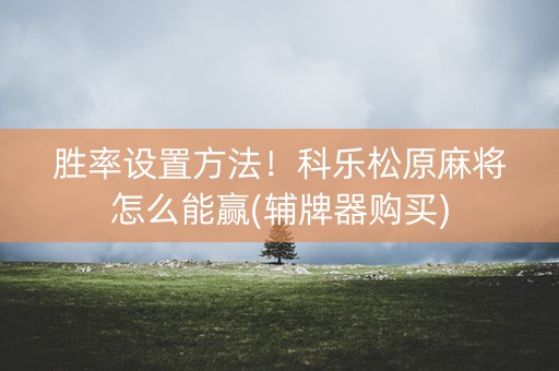 胜率设置方法！科乐松原麻将怎么能赢(辅牌器购买)