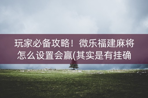 玩家必备攻略！微乐福建麻将怎么设置会赢(其实是有挂确实有挂)