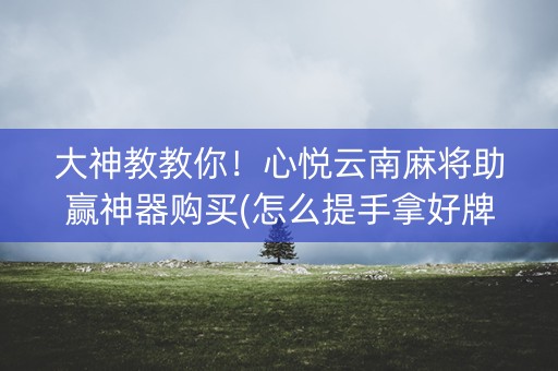 大神教教你！心悦云南麻将助赢神器购买(怎么提手拿好牌)