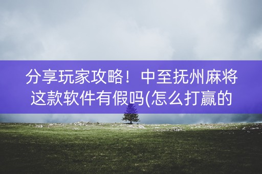 分享玩家攻略！中至抚州麻将这款软件有假吗(怎么打赢的几率大)