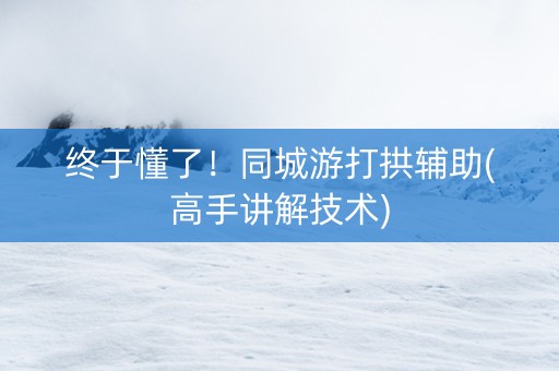 终于懂了！同城游打拱辅助(高手讲解技术)
