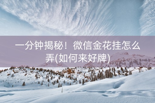 一分钟揭秘！微信金花挂怎么弄(如何来好牌)