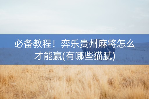 必备教程！弈乐贵州麻将怎么才能赢(有哪些猫腻)
