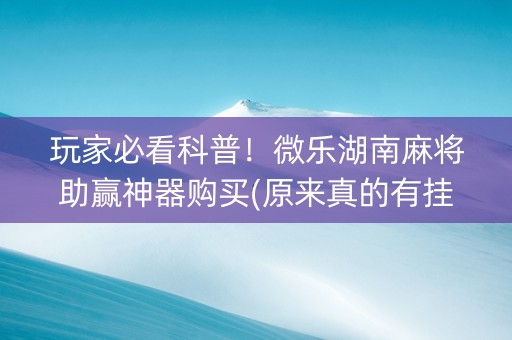 玩家必看科普！微乐湖南麻将助赢神器购买(原来真的有挂)