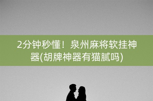 2分钟秒懂！泉州麻将软挂神器(胡牌神器有猫腻吗)