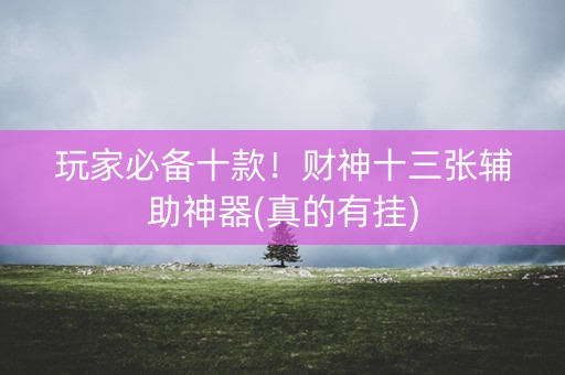 玩家必备十款！财神十三张辅助神器(真的有挂)
