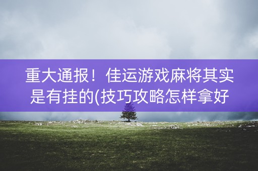 重大通报！佳运游戏麻将其实是有挂的(技巧攻略怎样拿好牌)