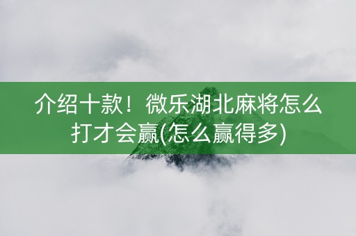 介绍十款！微乐湖北麻将怎么打才会赢(怎么赢得多)