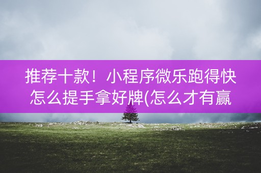 推荐十款！小程序微乐跑得快怎么提手拿好牌(怎么才有赢的几率)