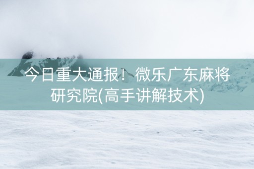 今日重大通报！微乐广东麻将研究院(高手讲解技术)