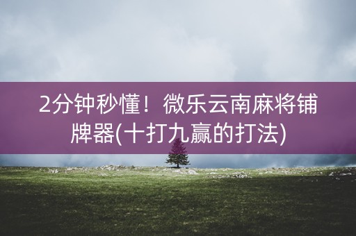 2分钟秒懂！微乐云南麻将铺牌器(十打九赢的打法)