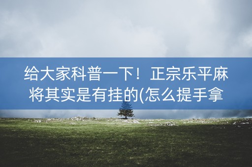 给大家科普一下！正宗乐平麻将其实是有挂的(怎么提手拿好牌)