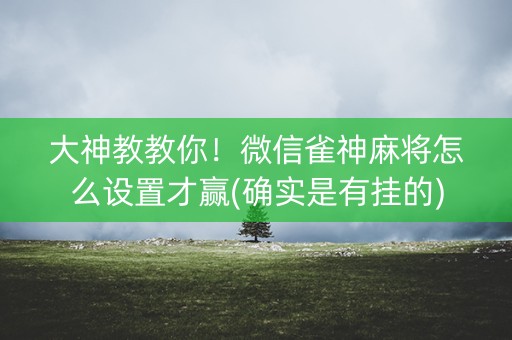 大神教教你！微信雀神麻将怎么设置才赢(确实是有挂的)