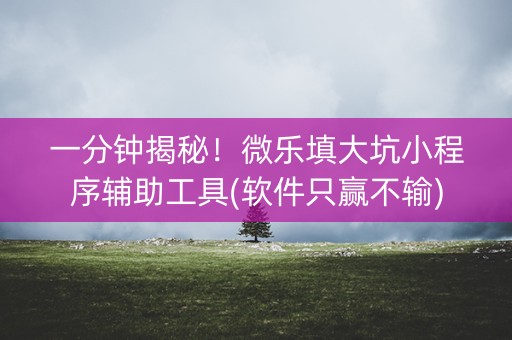 一分钟揭秘！微乐填大坑小程序辅助工具(软件只赢不输)