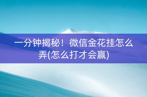 一分钟揭秘！微信金花挂怎么弄(怎么打才会赢)