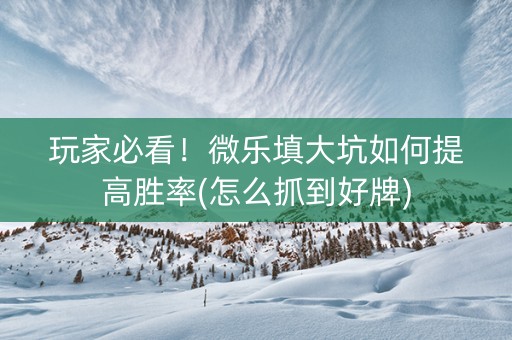 玩家必看！微乐填大坑如何提高胜率(怎么抓到好牌)
