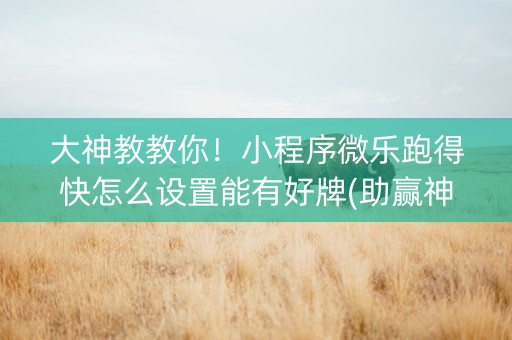 大神教教你！小程序微乐跑得快怎么设置能有好牌(助赢神器购买)