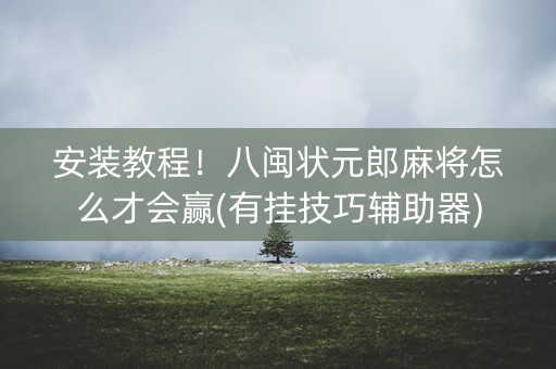 安装教程！八闽状元郎麻将怎么才会赢(有挂技巧辅助器)