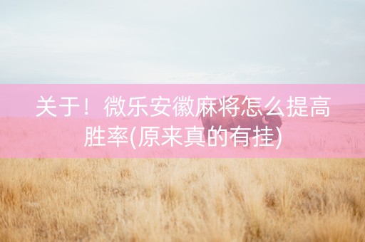 关于！微乐安徽麻将怎么提高胜率(原来真的有挂)