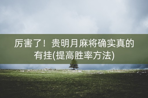 厉害了！贵明月麻将确实真的有挂(提高胜率方法)