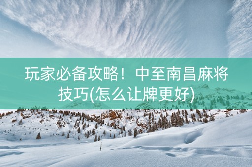 玩家必备攻略！中至南昌麻将技巧(怎么让牌更好)