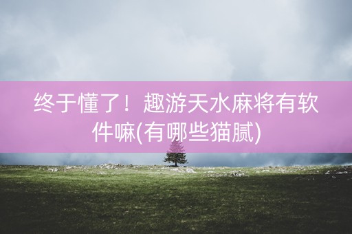 终于懂了！趣游天水麻将有软件嘛(有哪些猫腻)