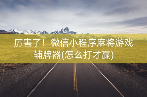 厉害了！微信小程序麻将游戏辅牌器(怎么打才赢)