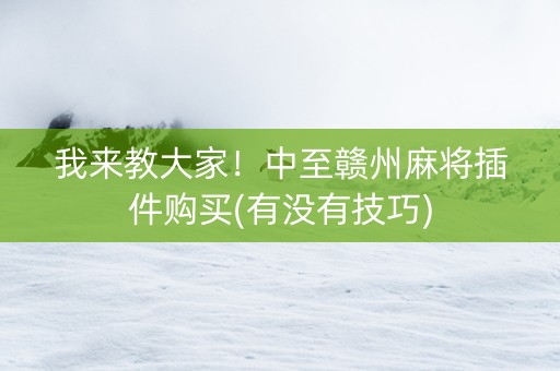 我来教大家！中至赣州麻将插件购买(有没有技巧)