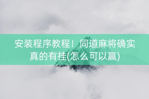 安装程序教程！同道麻将确实真的有挂(怎么可以赢)