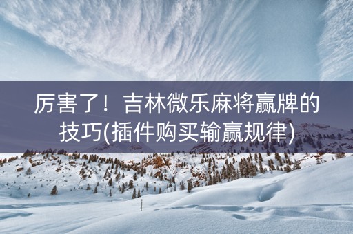 厉害了！吉林微乐麻将赢牌的技巧(插件购买输赢规律)