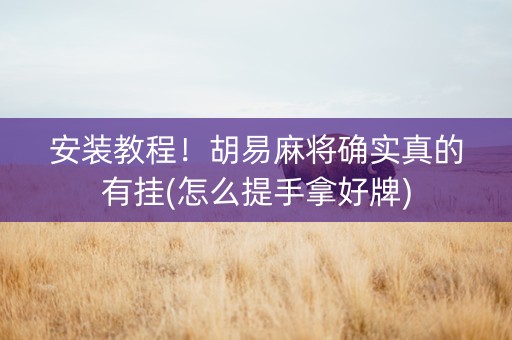 安装教程！胡易麻将确实真的有挂(怎么提手拿好牌)