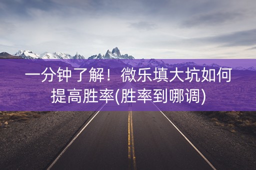 一分钟了解！微乐填大坑如何提高胜率(胜率到哪调)