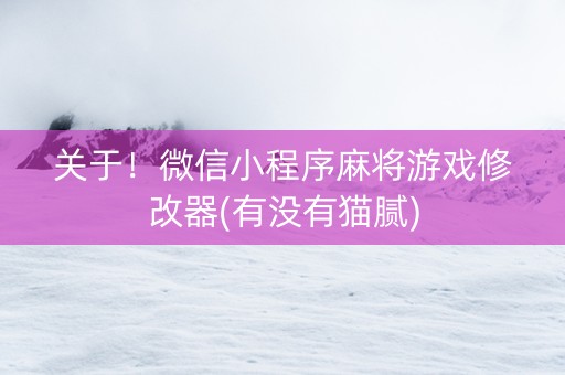 关于！微信小程序麻将游戏修改器(有没有猫腻)