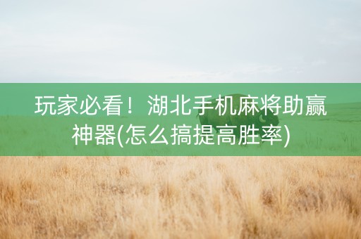 玩家必看！湖北手机麻将助赢神器(怎么搞提高胜率)