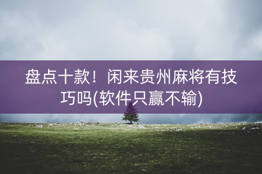 盘点十款！闲来贵州麻将有技巧吗(软件只赢不输)