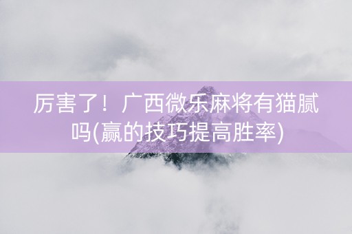 厉害了！广西微乐麻将有猫腻吗(赢的技巧提高胜率)