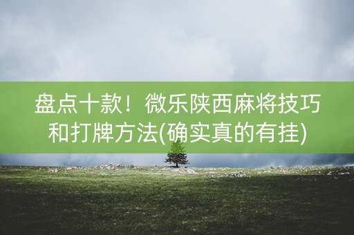 盘点十款！微乐陕西麻将技巧和打牌方法(确实真的有挂)