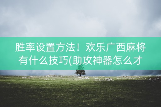 胜率设置方法！欢乐广西麻将有什么技巧(助攻神器怎么才会赢)