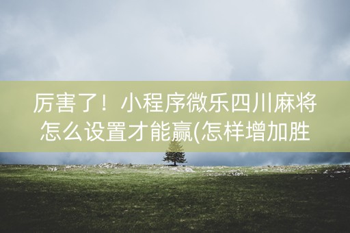 厉害了！小程序微乐四川麻将怎么设置才能赢(怎样增加胜率)