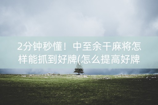 2分钟秒懂！中至余干麻将怎样能抓到好牌(怎么提高好牌几率)