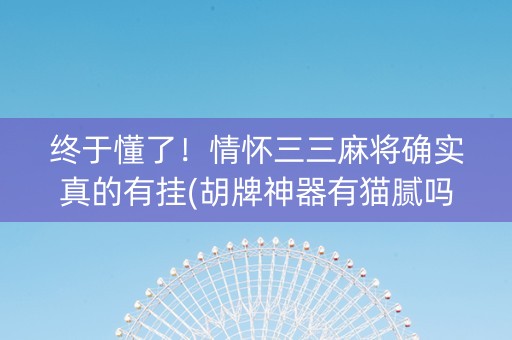 终于懂了！情怀三三麻将确实真的有挂(胡牌神器有猫腻吗)