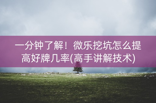 一分钟了解！微乐挖坑怎么提高好牌几率(高手讲解技术)
