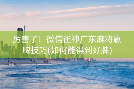 厉害了！微信雀神广东麻将赢牌技巧(如何能得到好牌)