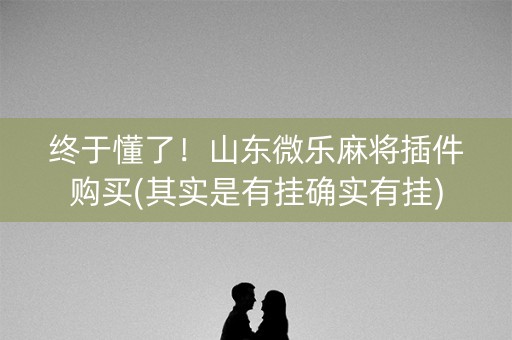 终于懂了！山东微乐麻将插件购买(其实是有挂确实有挂)
