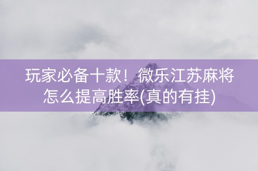 玩家必备十款！微乐江苏麻将怎么提高胜率(真的有挂)